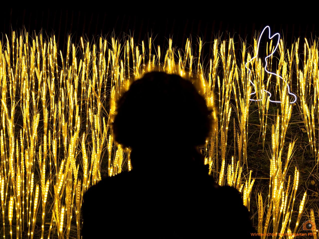 Winterlichter Palmengarten Ffm